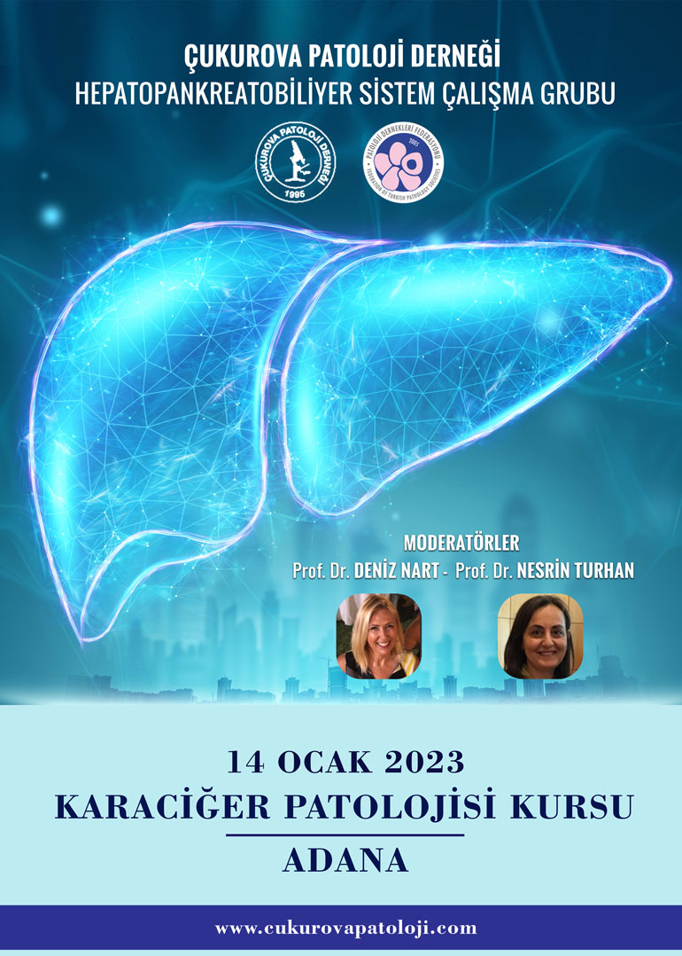 Karaciğer Patolojisi Kursu