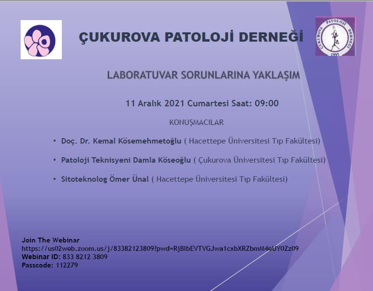 Laboratuvar Sorunlarına Yaklaşım